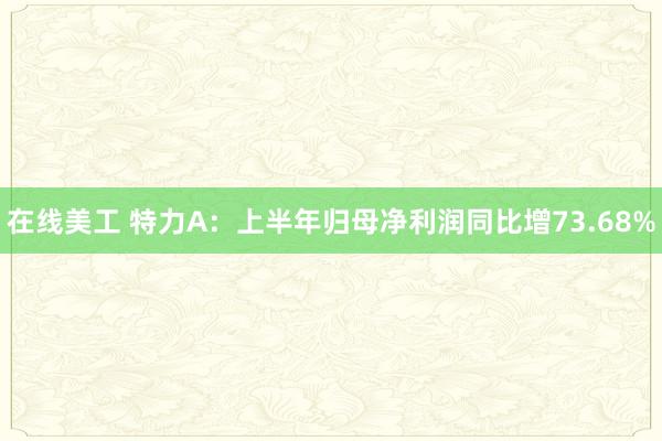 在线美工 特力A：上半年归母净利润同比增73.68%